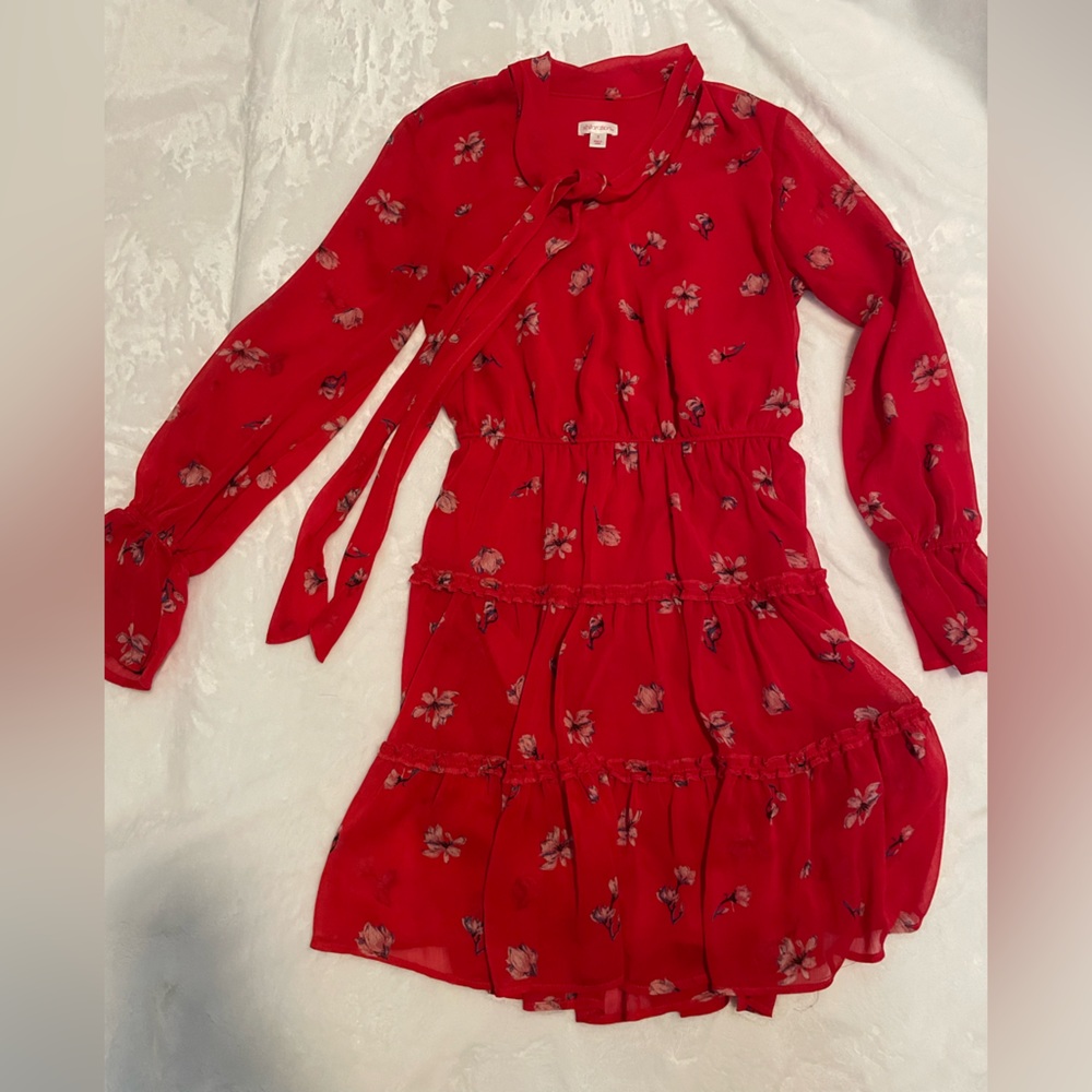 Red Floral Dress with Long, Sheer Sleeves and Collar Tie Detail